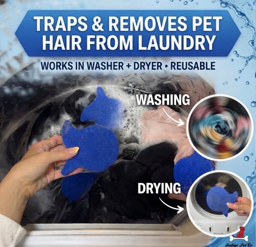 Laundry Pet Hair Removal Fish - 6 Pack