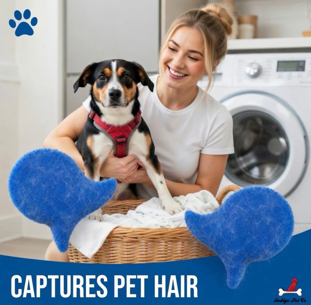 Laundry Pet Hair Removal Fish - 6 Pack